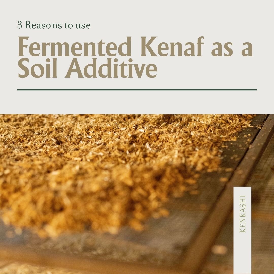 3 Reasons to Use Fermented Kenaf as a Soil Additive - Kenkashi