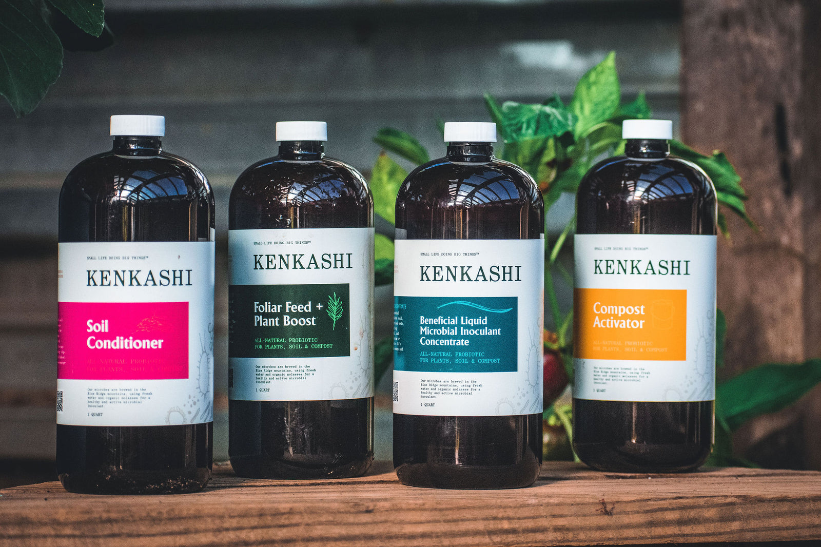 Kenkashi liquid microbial inoculant concentrate bottles on wood ledge with plant in greenhouse