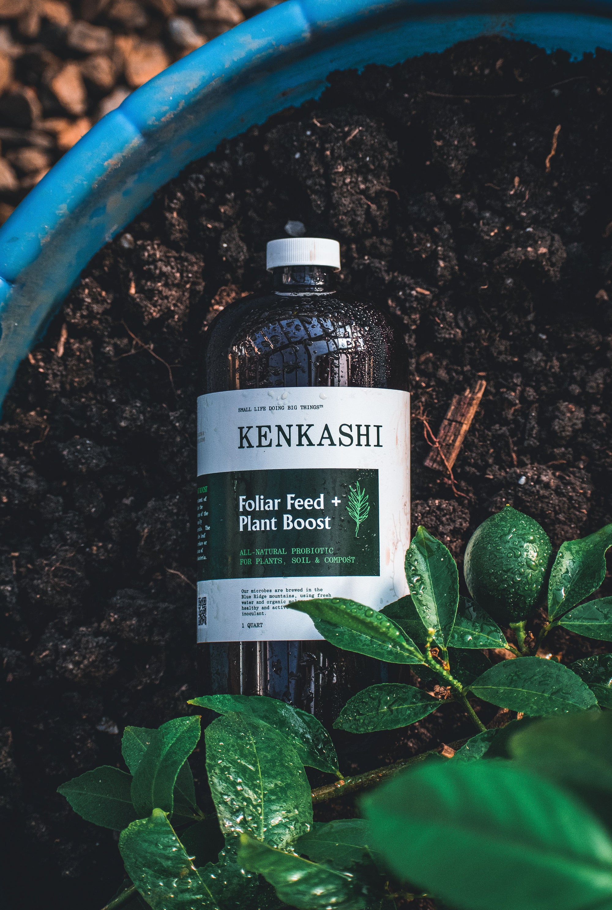Foliar feed and plant boost Kenkashi liquid inoculant concentrate bottle in a potted plant with leaves and soil in greenhouse